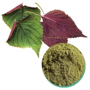 POLVO DE SHISO - POLVO DE PERILLA de Vietnam Sra. Holiday - Product Image 2