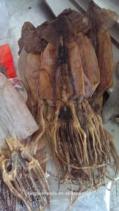 Sepia seca y congelada - Product Image 2