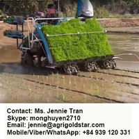 Transplanteur de riz KUBOTA 68C - Fabriqué en Thaïlande - Exportation mondiale - Prix le plus bas - Qualité supérieure - Moteur le plus puissant - En vente