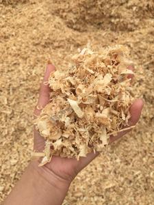 OFERTA - ASERRÍN DE MADERA PURA PARA CAMAS DE ANIMALS W: +84 973 101 511 - Product Image 3