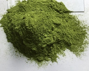 POLVO DE BROCCOLI/BROCCOLI EN POLVO ORIGEN VIETNAM - Product Image 2