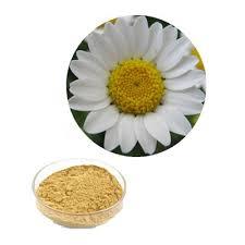 ผงดอกเบญจมาศเดซี่แห้งในวันหยุดเวียดนาม - Product Image 4