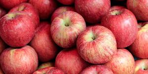 Manzana roja de calidad superior Manzana roja fresca deliciosa manzana fresca a granel - Product Image 4