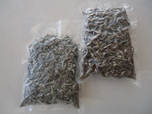 Anchoas secas/pescado seco con la mejor calidad, mejor precio - Product Image 2