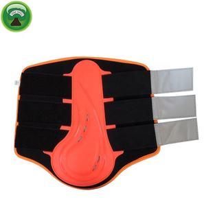 Precio de fábrica de venta de caballo de férula tendón de arranque - Product Image 2