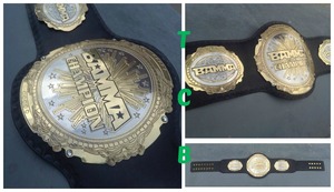 Cinturones de Campeonato Personalizados, Título de Campeón, Ganador, Gimnasio, Club, MMA, Cinturón, Accesorio de Equipo de Fitness - Product Image 4