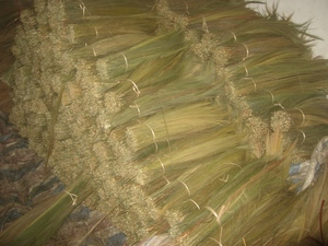Matière première pour balai en herbe du Vietnam, matière première pour la fabrication de balais en herbe - Product Image 2