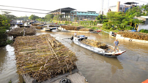 SUGARCANE RESIDUE/ <strong>SUGAR</strong> <strong>CANE</strong> BAGASSE PELLETS/ AGRICULTURAL <strong>WASTE</strong>