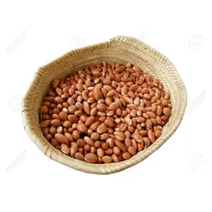 Bulk Supplier of High Quality Argan Oil