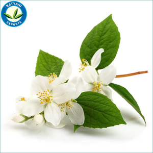 Ambientador prensado en frío de aceite esencial de jazmín Natural de la mejor calidad del fabricante indio, nueva fragancia - Product Image 2