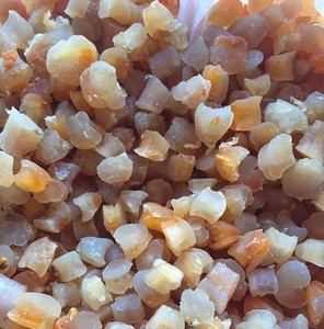 Scallop séché 99 Gold Data - Product Image 3