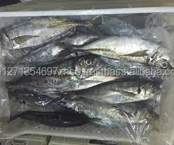 Envasado al Vacío Orgánico Grado a Filete de Pescado de Salmón del Atlántico Congelado Entero con Cabeza de Salmón - Product Image 4