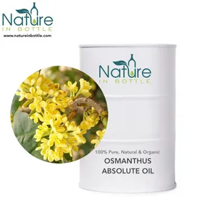 อินทรีย์น้ำมัน Osmanthus | น้ำมันหอมระเหย Osmanthus ดอกไม้-น้ำมันหอมระเหยบริสุทธิ์และเป็นธรรมชาติ-ราคาขายส่งจำนวนมาก