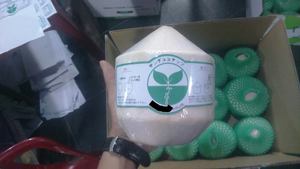 Jeune noix de coco de Thaïlande / Noix de coco fraîche au prix le plus bas - Product Image 3