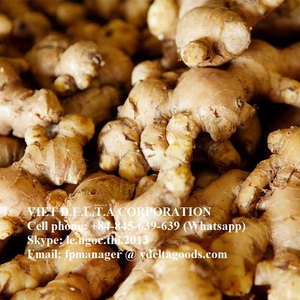 ขิงแช่แข็งเกรดดี/ขิงบรรจุสูญญากาศ - Product Image 3