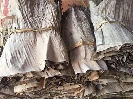 กล้วย Cavendish สดและแห้งสำหรับห่อเค้ก - Product Image 5