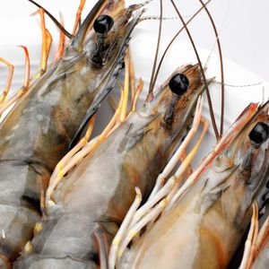 Alimento animal de probióticos para el cultivo de camarones Vannamei en Malasia - Product Image 4