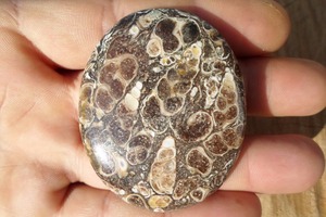 Pierre de Cabochon de pierres précieuses en vrac semi-précieuse Turritella pour la fabrication de bijoux pendentif bague Bracelet collier - Product Image 5