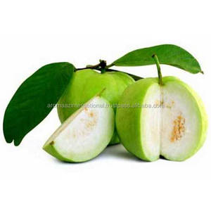 Aceite de semilla de Guava, compra en línea a granel - Product Image 4