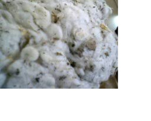 100% algodón Gin Motes Raw Pattern MOT Marca US Origin 200kg Bola - Product Image 2