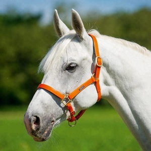 Cabestro para Caballo de PVC, Impermeable, Duradero, Ajustable, Resistente, para Establos Ecuestres - Product Image 5