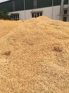 HOT <b>SALE</b> - PURE WOOD SHAVINGS <b>FOR</b> ANIMALS BEDDING W: +84 973 101 511 - Product Image 4