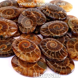 Piedra preciosa cabujón amonita - Product Image 3