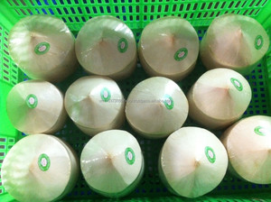 Agua de Coco Especial de Vietnam con Precio Competitivo - Product Image 6