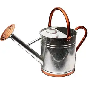 Regadera para plantas de interior de Metal galvanizado de alta calidad, nueva colección de diseñador, venta directa de fábrica del proveedor mayorista - Product Image 1