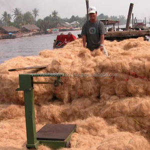 Coconut Coir <b>Fiber</b> / Viet Nam - Product Image 5