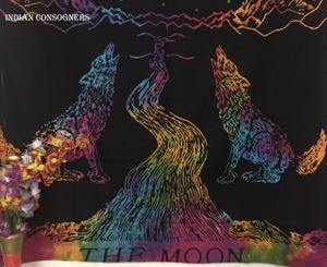 Tapisserie double faite à la main, la Lune, décoration d'intérieur merveilleuse, imprimé animal, multicolore, coton, suspension murale par des consignateurs indiens - Product Image 3