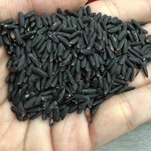 ARROZ NEGRO RICEBERRIEY - ARROZ SECO AROMÁTICO Y SUAVE - Product Image 2