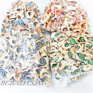 100ชิ้นขายส่งจำนวนมากจัดส่งฟรีเปลือกหอยแหวนผสมสีและขนาด (ประตูไปที่ประตูบริการ) - Product Image 6