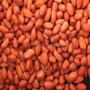 Hot Selling Wholesale Peanuts in Shell/Groundnut in Shell Available