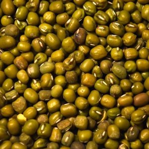 Frijoles Mung Verdes Naturales Secos a Granel de Alta Calidad para Compradores Premium - Product Image 1