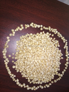 Maïs blanc non OGM alimentation humaine/alimentation animale à vendre - Product Image 2