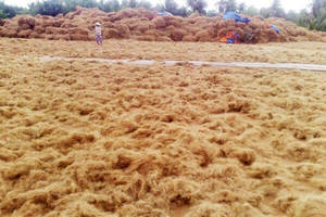VIETNAM SUPPLIER COCONUT FIBER GOOD PRICE - Product Image 6