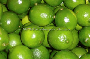 Citron frais/citron vert avec un bon prix de gros - Product Image 5