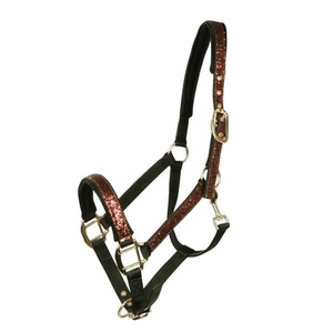 Caballo herradura - Product Image 1