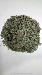 Feuilles de menthe verte séchées Mentha spicata Feuilles de menthe verte séchées - Product Image 5