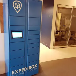 Smart/intelligent parcel/delivery locker for E-commerce/online purchase