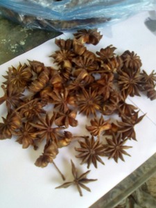 Anís estrellado-Cocinar y hornear de Vietnam en 2024 - Product Image 4