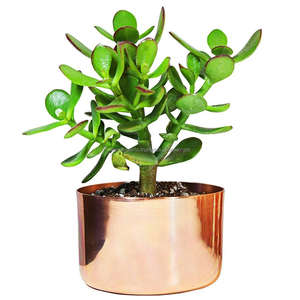 Jardinière succulente martelée en cuivre fabrication en gros de l'Inde jardinière ronde en cuivre pour l'intérieur - Product Image 3