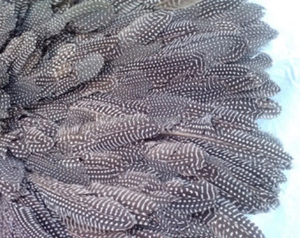Buenas colecciones de sombreros africanos Juju, plumas decorativas de pared para el hogar hechas a la venta - Product Image 1