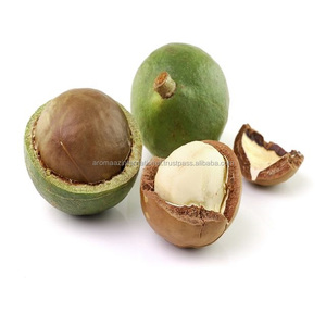 Aceite portador de semillas de Tamanu prensado en frío Aceite de jojoba líquido con aceites de rosa mosqueta y Camelia ricos en colágeno y ácido oleico - Product Image 1