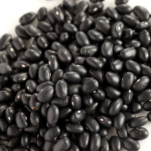 Frijoles Negros de Sudáfrica Premium a Granel, 25 kg, Secos, Listos para Exportar - Product Image 2