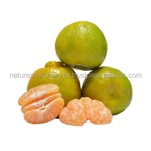 Superior Quality Sweet Orange Essential Oil GMP Approved