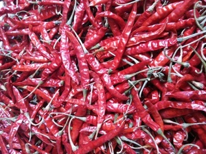 Piment de Cayenne rouge foncé 100% pur et naturel en vrac pour la vente en gros, poudre de piment séché pour barbecue, épices aromatisantes, saveur intense, cru, AD - Product Image 3