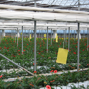 Cao Cấp Tốt Chuột Bẫy Chuột Keo Dính Bẫy - Product Image 5