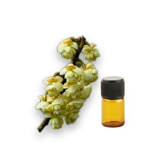 Wholesale Bulk Price 100% Pure Natural Cubeba Essential Oil for Body Care and Candle Making - Product Image 6